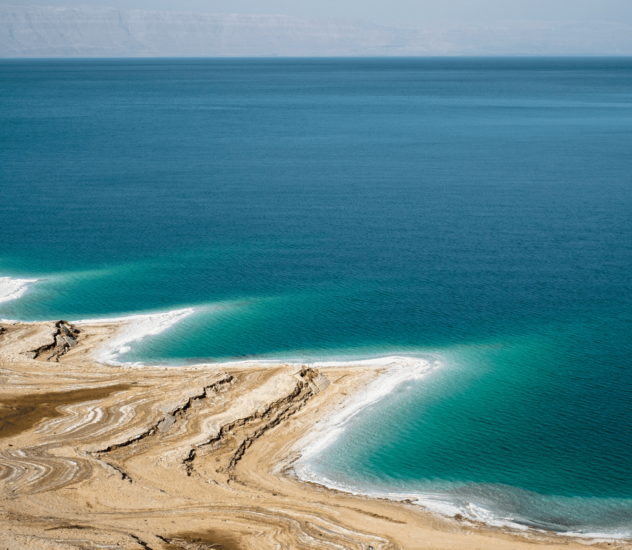Dead Sea Shores