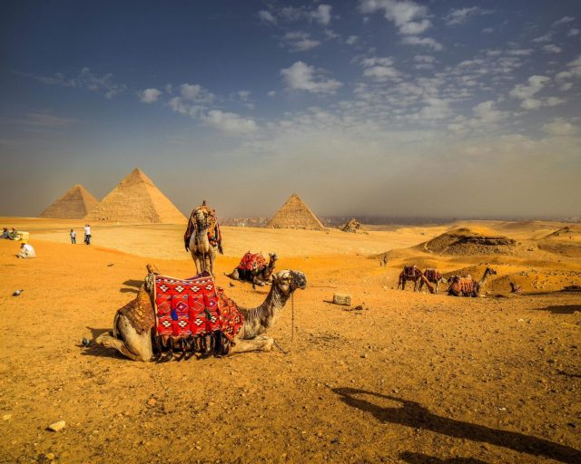 pexels-marcel-winger-1281376-2445852